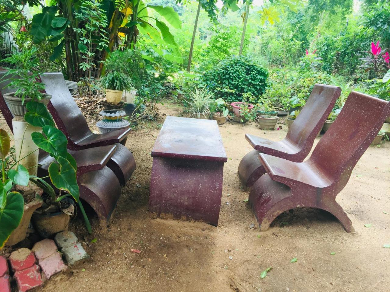 Malee Homestay ポロンナルワ エクステリア 写真
